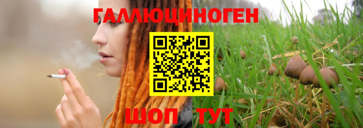 Псилоцибиновые грибы Psilocybe  Вход с VPN  Нижневартовск  купить наркотики цена  Галлюциногенные грибы Cubensis 