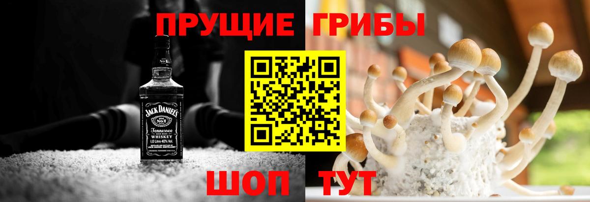 Галлюциногенные грибы Magic Shrooms Нижневартовск